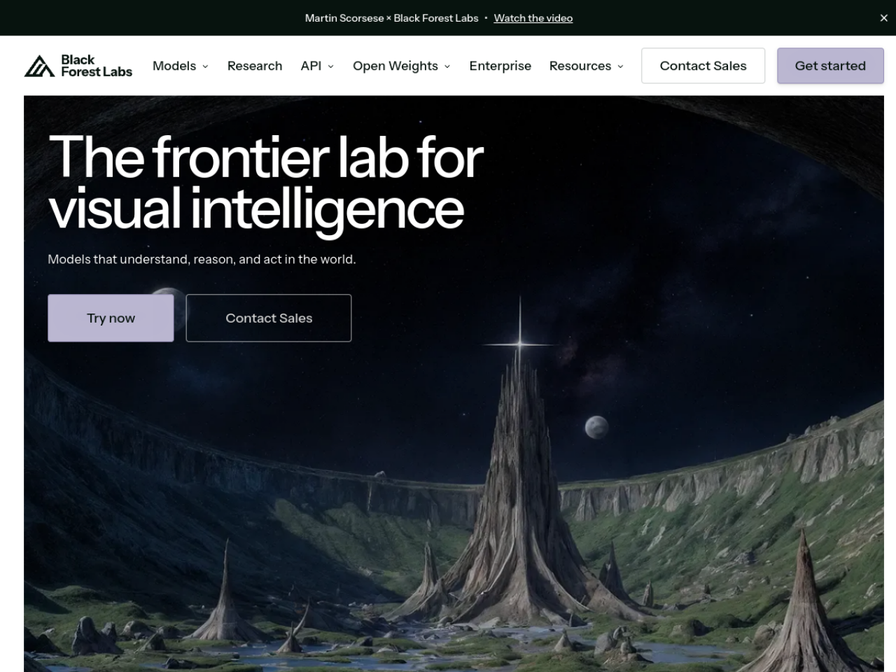 FLUX.1 par Black Forest Labs
